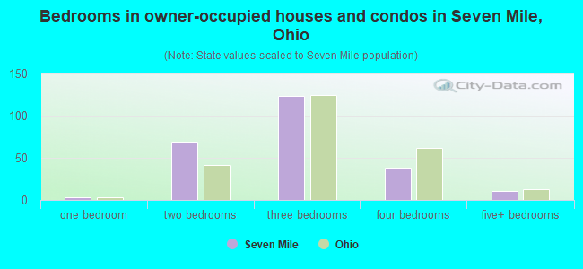 Bedrooms in owner-occupied houses and condos in Seven Mile, Ohio