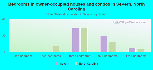 Bedrooms in owner-occupied houses and condos in Severn, North Carolina