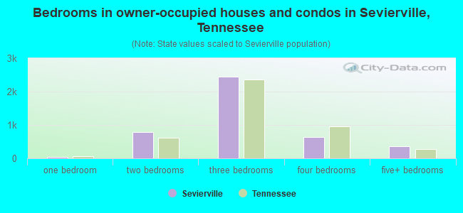 Bedrooms in owner-occupied houses and condos in Sevierville, Tennessee