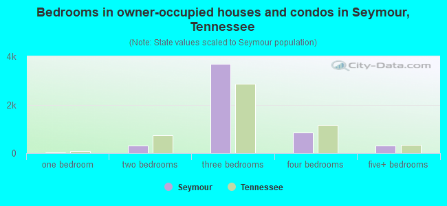 Bedrooms in owner-occupied houses and condos in Seymour, Tennessee