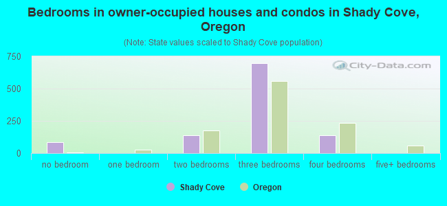 Bedrooms in owner-occupied houses and condos in Shady Cove, Oregon