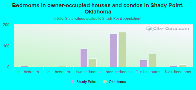 Bedrooms in owner-occupied houses and condos in Shady Point, Oklahoma