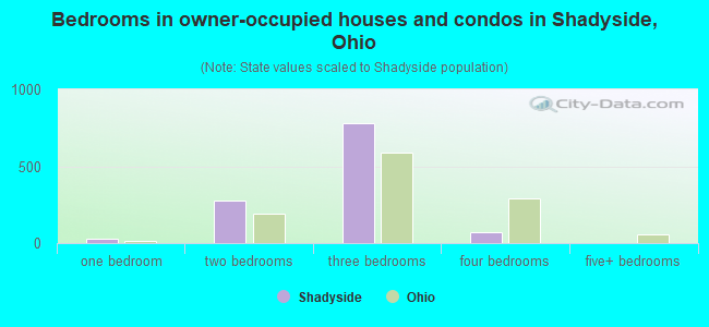 Bedrooms in owner-occupied houses and condos in Shadyside, Ohio