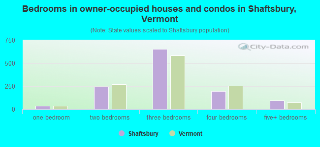 Bedrooms in owner-occupied houses and condos in Shaftsbury, Vermont