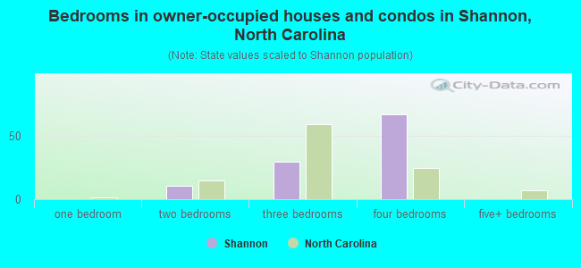 Bedrooms in owner-occupied houses and condos in Shannon, North Carolina