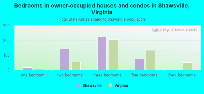 Bedrooms in owner-occupied houses and condos in Shawsville, Virginia