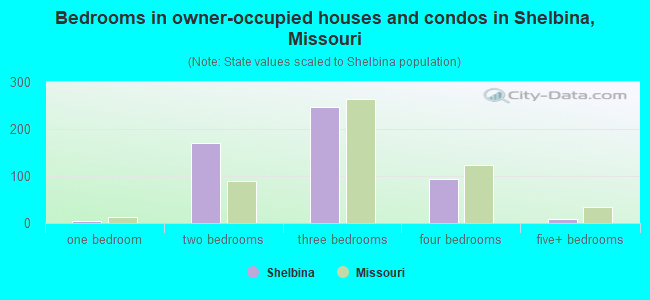 Bedrooms in owner-occupied houses and condos in Shelbina, Missouri