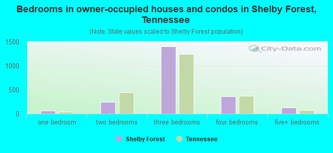 Bedrooms in owner-occupied houses and condos in Shelby Forest, Tennessee