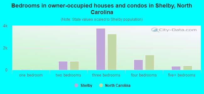Bedrooms in owner-occupied houses and condos in Shelby, North Carolina