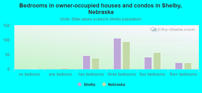 Bedrooms in owner-occupied houses and condos in Shelby, Nebraska