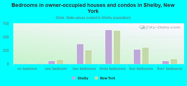 Bedrooms in owner-occupied houses and condos in Shelby, New York