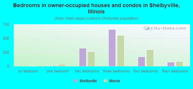 Bedrooms in owner-occupied houses and condos in Shelbyville, Illinois