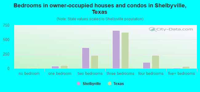 Bedrooms in owner-occupied houses and condos in Shelbyville, Texas