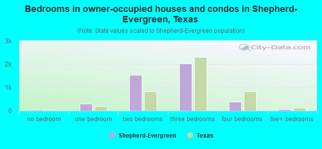 Bedrooms in owner-occupied houses and condos in Shepherd-Evergreen, Texas