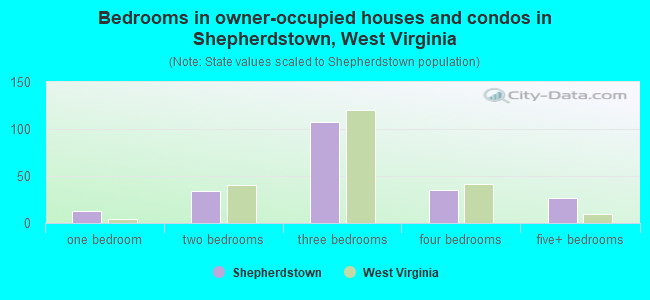 Bedrooms in owner-occupied houses and condos in Shepherdstown, West Virginia