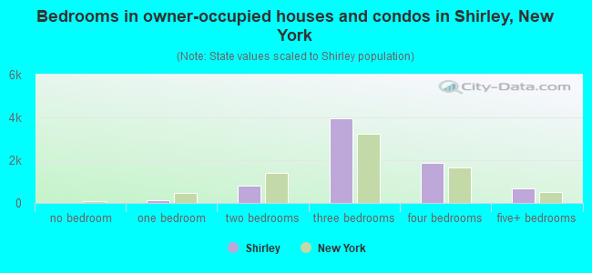 Bedrooms in owner-occupied houses and condos in Shirley, New York