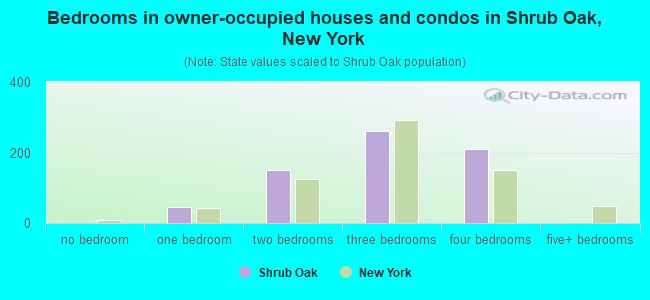 Bedrooms in owner-occupied houses and condos in Shrub Oak, New York