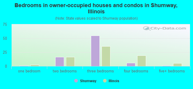 Bedrooms in owner-occupied houses and condos in Shumway, Illinois