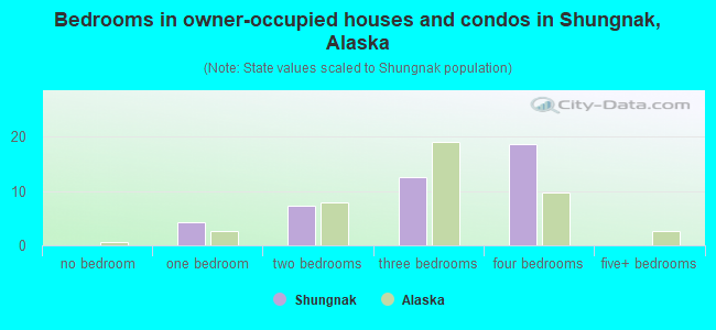 Bedrooms in owner-occupied houses and condos in Shungnak, Alaska