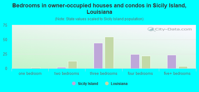 Bedrooms in owner-occupied houses and condos in Sicily Island, Louisiana