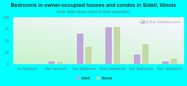 Bedrooms in owner-occupied houses and condos in Sidell, Illinois