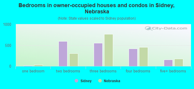 Bedrooms in owner-occupied houses and condos in Sidney, Nebraska
