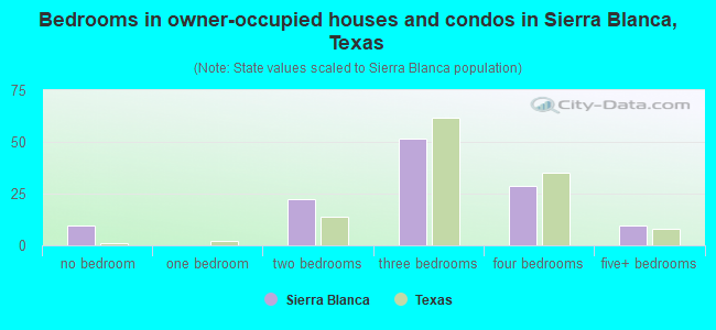 Bedrooms in owner-occupied houses and condos in Sierra Blanca, Texas