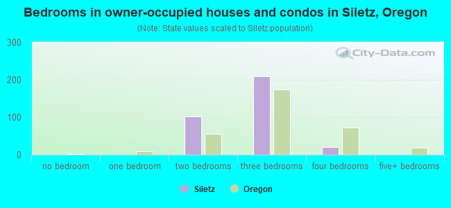 Bedrooms in owner-occupied houses and condos in Siletz, Oregon