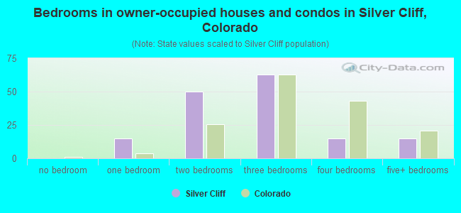Bedrooms in owner-occupied houses and condos in Silver Cliff, Colorado