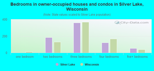 Bedrooms in owner-occupied houses and condos in Silver Lake, Wisconsin