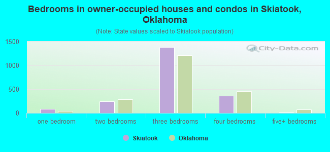Bedrooms in owner-occupied houses and condos in Skiatook, Oklahoma