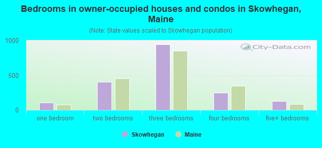 Bedrooms in owner-occupied houses and condos in Skowhegan, Maine