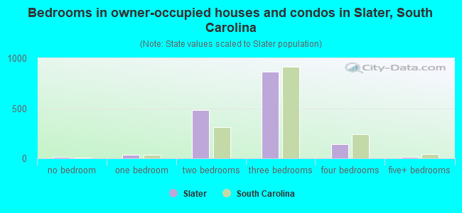 Bedrooms in owner-occupied houses and condos in Slater, South Carolina