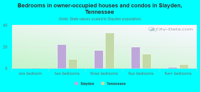 Bedrooms in owner-occupied houses and condos in Slayden, Tennessee