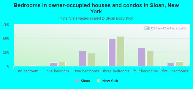 Bedrooms in owner-occupied houses and condos in Sloan, New York