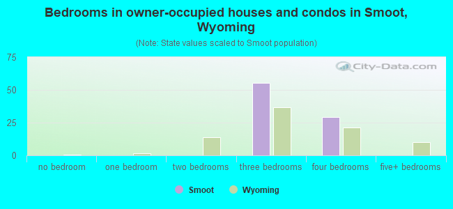 Bedrooms in owner-occupied houses and condos in Smoot, Wyoming