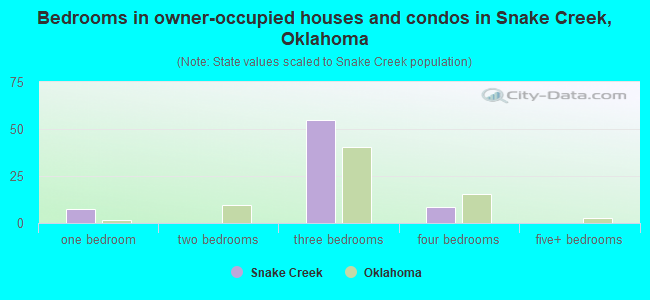 Bedrooms in owner-occupied houses and condos in Snake Creek, Oklahoma