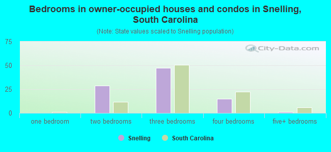 Bedrooms in owner-occupied houses and condos in Snelling, South Carolina
