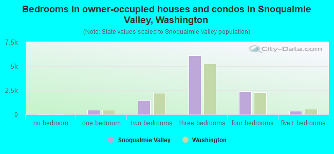 Bedrooms in owner-occupied houses and condos in Snoqualmie Valley, Washington