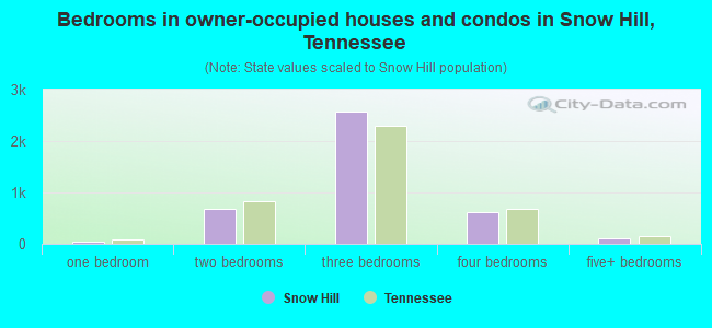 Bedrooms in owner-occupied houses and condos in Snow Hill, Tennessee