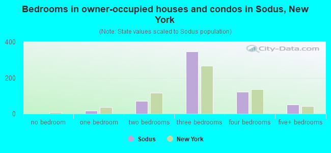 Bedrooms in owner-occupied houses and condos in Sodus, New York