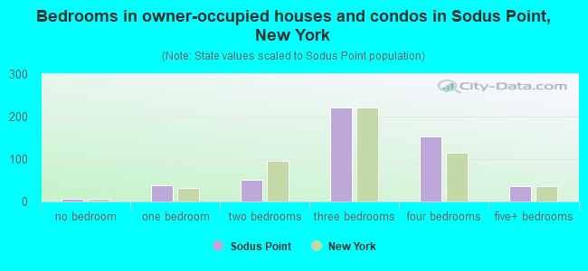 Bedrooms in owner-occupied houses and condos in Sodus Point, New York