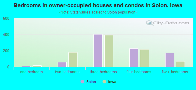Bedrooms in owner-occupied houses and condos in Solon, Iowa