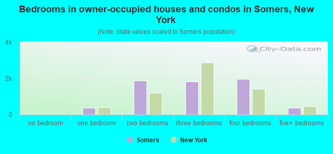 Bedrooms in owner-occupied houses and condos in Somers, New York
