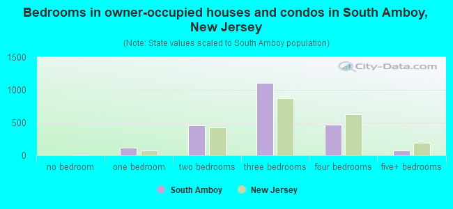Bedrooms in owner-occupied houses and condos in South Amboy, New Jersey
