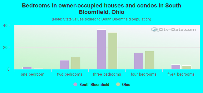 Bedrooms in owner-occupied houses and condos in South Bloomfield, Ohio