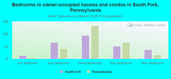 Bedrooms in owner-occupied houses and condos in South Fork, Pennsylvania
