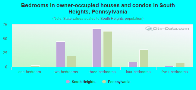 Bedrooms in owner-occupied houses and condos in South Heights, Pennsylvania