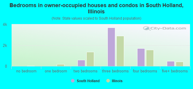 Bedrooms in owner-occupied houses and condos in South Holland, Illinois