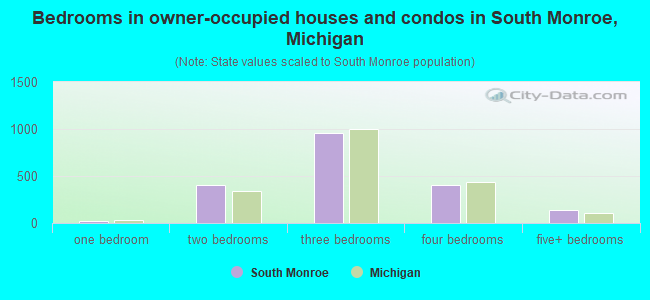 Bedrooms in owner-occupied houses and condos in South Monroe, Michigan